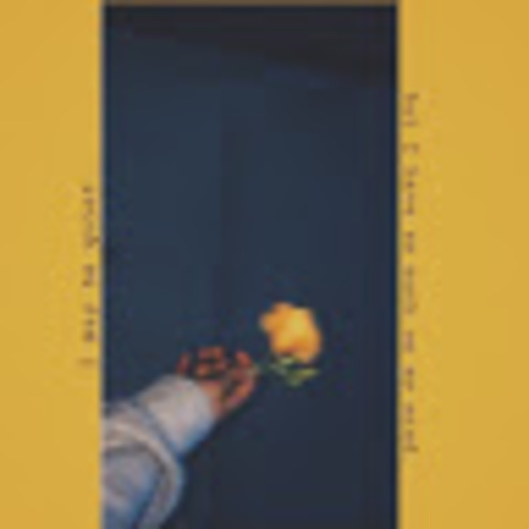 Meet your Posher, Ruby - Picture 1 of 1